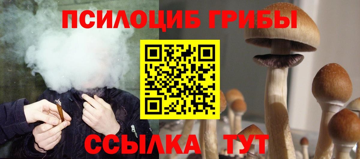 Галлюциногенные грибы Psilocybe  Галлюциногенные грибы Cubensis  даркнет сайт  Вход с VPN  Электрогорск 