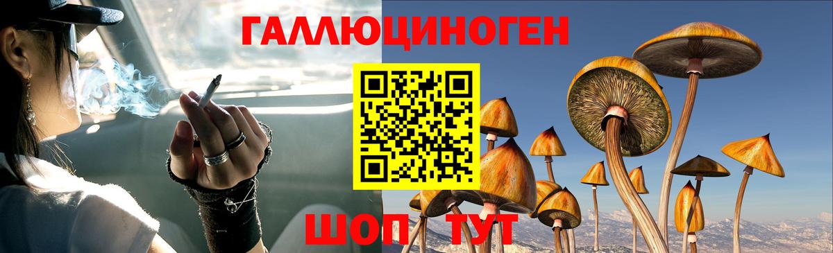 Псилоцибиновые грибы ЛСД Электрогорск